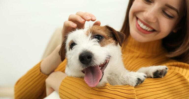 A woman smiling and petting a happy terrier dog.